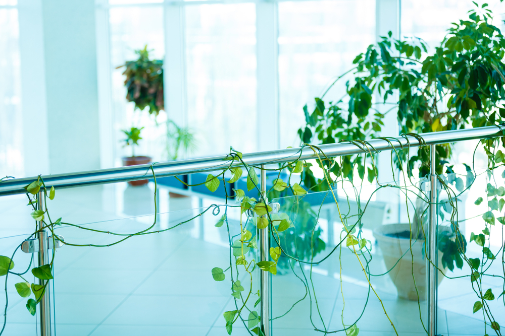Green plants in eco-friendly school lab