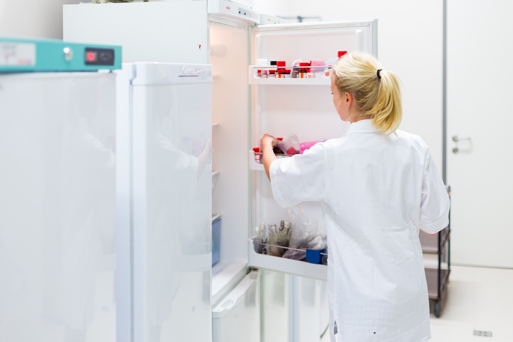 Refrigerated storage cabinet in chemistry lab