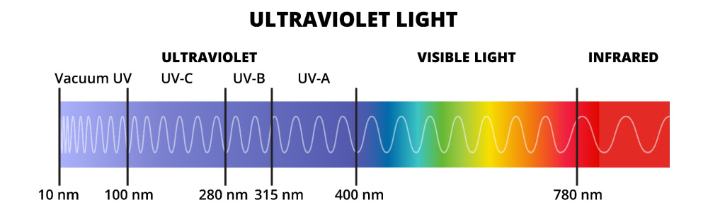 Electromagnetic spectrum visible to the human eye