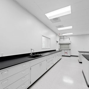 hylands-lab-3