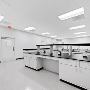 hylands-lab-4